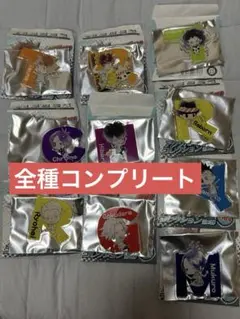 アクリルバッジコレクション第2弾 全10種セット リボーン コンプリート