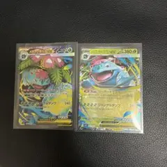 メガフシギバナEX SR、RRセット