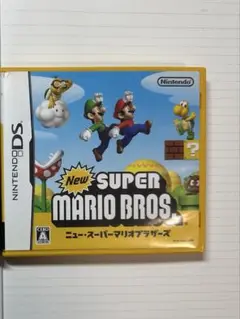 DS ニュー・スーパーマリオブラザーズ　確認画面あり　送料込み　匿名