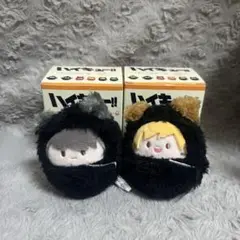 ハイキュー!! くるみたぴぬい 宮侑 宮治 セット
