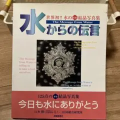 水からの伝言 : 世界初!!水の氷結結晶写真集 水からの伝言―世界初!!水の氷結結晶写真集 (Vol.2) (Messages