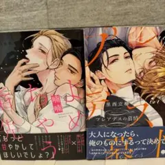 BLコミックまとめ売り