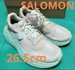 SALOMON ランニング ジュース AERO GLIDE　26.5cm