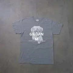 アニマルTシャツ ゴールデンレトリバー M