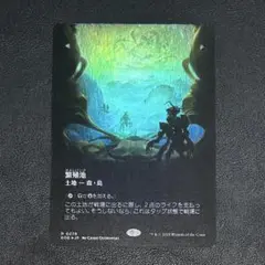 MTG 繁殖池 観測窓ver ボーダーレス Foil 久遠の終端