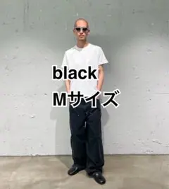 Dickies FUTURE ARCHIVE W-Knee Wk black M