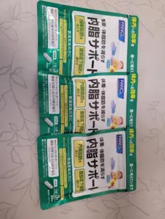 内脂サポート*3