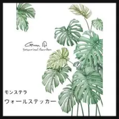 匿名発送　ウォールステッカー モンステラ 観葉植物 ウォールデコ シール 植物