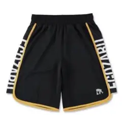 Item thumbnail for item a8217644-c370-4ae5-8905-0e3f8084823f