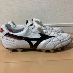 モレリア2JAPANクロスステッチ