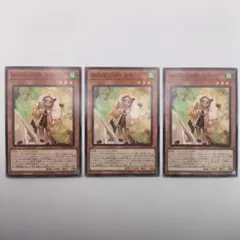 遊戯王　WAKE CUP! マキ ノーマルレア　3枚セット