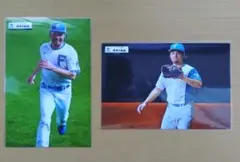 伊藤大海 投手 2枚 野口観光 写真 日本ハムファイターズ