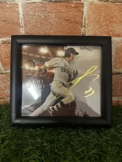 Item thumbnail for item 20a60522-07ad-406a-851c-37325f6d02e8