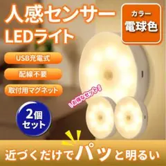 人感センサーライト　LED　充電式　自動点灯　USB　暖色　磁石 2個　防犯