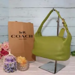 OLD COACH ハンドバッグ グリーン 小さめサイズ 本革 ポーチ 極上品