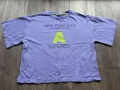 Item thumbnail for item 0e40cf7a-b09c-47e0-8c69-ed4778cb4ccc