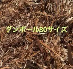 国産　バーク　ウッド　皮　木材　杉　檜　樹皮