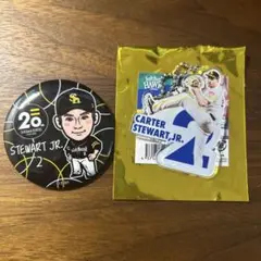スチュワートJr.缶バッジ&アクキーセット