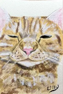 [原画] 絵画　アクリル画　猫　はがき・ポストカード No.13