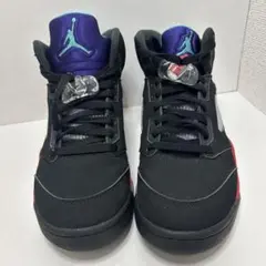 Nike Air Jordan 5 ※箱なし/中古