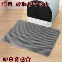 Item thumbnail for item 6a784f9a-2f6b-4052-99c5-9c6cdf98f9a0