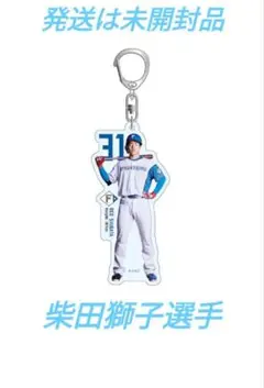柴田 獅子選手 #31 2025 25分の1アクリルキーホルダー日本ハム送料無料