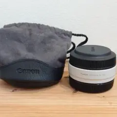 Item thumbnail for item 9007c746-d26a-4741-bbb5-c20b2dfafca0