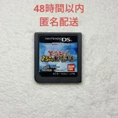 とったどー！よゐこの無人島生活