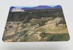 Item thumbnail for item e55293bc-6d7a-4aa2-a416-fffa49a288ce