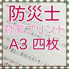 防災士　試験　対策メモ　A3 四枚　過去問分析　予想問題　防災士試験対策委員会