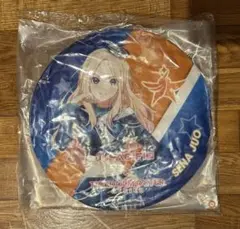 十王星南　クッション　パシフィックレーシング　未開封