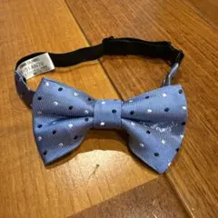 Item thumbnail for item 5b0767d3-1b88-48c0-9a2e-b6a9510f038c