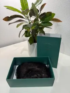 Item thumbnail for item 4555484c-5f04-4404-870e-7c780634456d