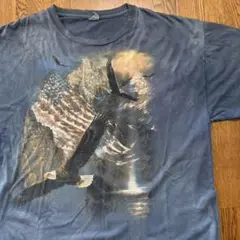 00s tシャツ 鳥　風景　鷹　古着　2XL