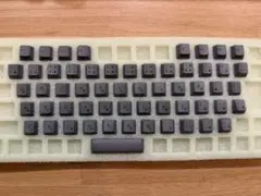 REALFORCE RC1 C1HK13 [ブラック] 付属キーキャップ