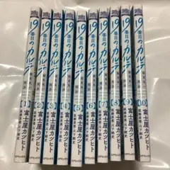 【最終値下げ】19番目のカルテ 富士屋カツヒト　10巻セット