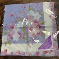 Item thumbnail for item 47ae9e93-8715-4789-888c-b194d939c167