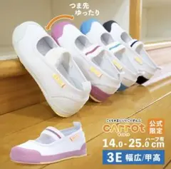 ムーンスター　上履き　16.5