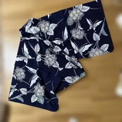 Item thumbnail for item 6276c7b9-f070-46f6-a565-8df251fdd3a8