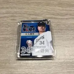 【新品未開封 即日発送】甲斐野央 キーホルダー 駅の推し獅子 埼玉西武ライオンズ