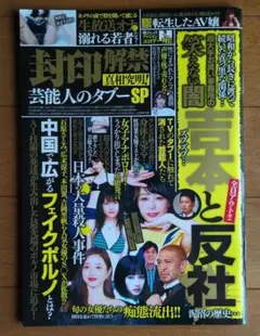 Intima 2013 下着専門誌 ランジェリーコレクション レーシィシャルマンブラジャー&フルバックショーツ [推し]の通販