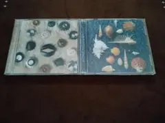 スピッツ シングルコレクション CD2枚セット