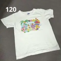 BLUE SEAL アイスクリーム Tシャツ120