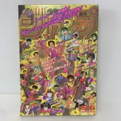週刊少年ジャンプ 1996年No.5・6合併号　24-A-2100
