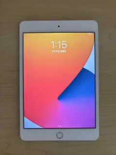 iPad mini4 16GB wifi