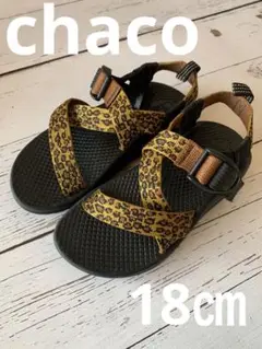 chaco サンダル　キッズ　18センチ