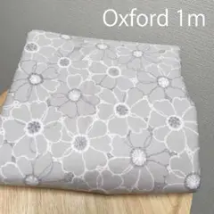 レース風刺繍風プリントのアネモネ花柄★綿オックス生地はぎれ布1ｍエクリュ