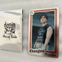 straykidsランダムライブフォトカード　チャンビン
