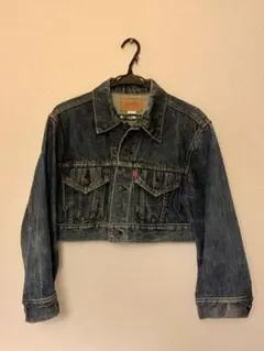 シンゾーン リーバイス ショートデニムジャケット