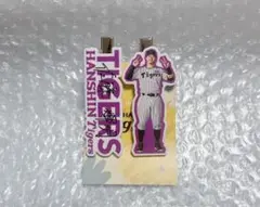 阪神タイガース　シークレット　佐藤輝明